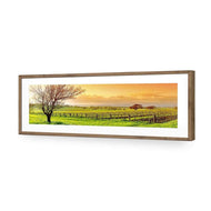 Vineyard Landscape