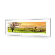Vineyard Landscape