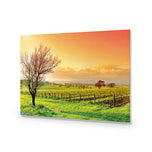 Vineyard Landscape
