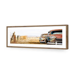 Rusty Cars
