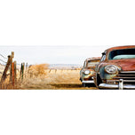 Rusty Cars