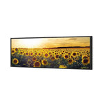 Sunflowers at Sunset