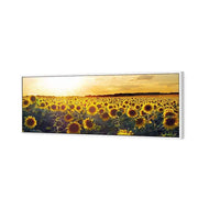 Sunflowers at Sunset