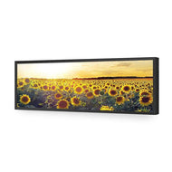 Sunflowers at Sunset