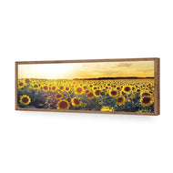 Sunflowers at Sunset