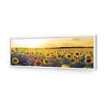 Sunflowers at Sunset