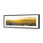 Sunflowers at Sunset