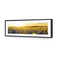 Sunflowers at Sunset