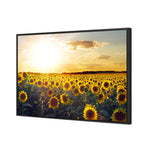 Sunflowers at Sunset