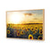 Sunflowers at Sunset