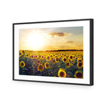 Sunflowers at Sunset