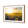 Sunflowers at Sunset