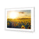 Sunflowers at Sunset
