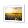 Sunflowers at Sunset