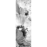 Poppy Art, B&W