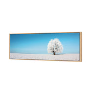 Lonely Snow Tree
