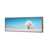 Lonely Snow Tree