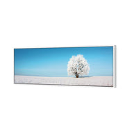 Lonely Snow Tree