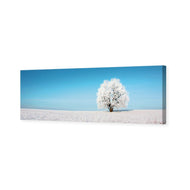 Lonely Snow Tree