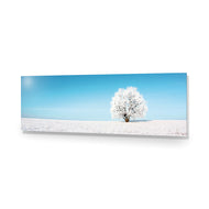 Lonely Snow Tree