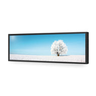 Lonely Snow Tree