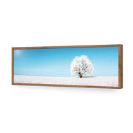 Lonely Snow Tree