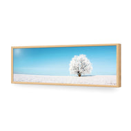 Lonely Snow Tree