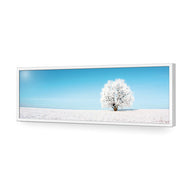 Lonely Snow Tree