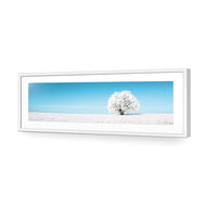 Lonely Snow Tree