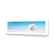 Lonely Snow Tree