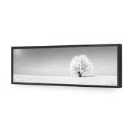 Lonely Snow Tree , B&W
