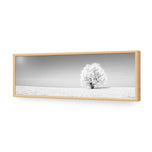 Lonely Snow Tree , B&W