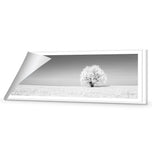 Lonely Snow Tree , B&W