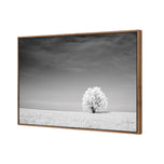 Lonely Snow Tree BW
