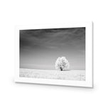 Lonely Snow Tree BW
