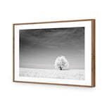 Lonely Snow Tree BW