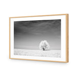 Lonely Snow Tree BW