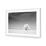 Lonely Snow Tree BW