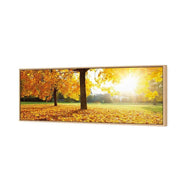 Autumn Sunshine