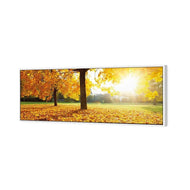 Autumn Sunshine