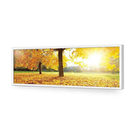 Autumn Sunshine