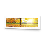 Autumn Sunshine