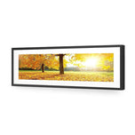 Autumn Sunshine