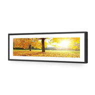 Autumn Sunshine