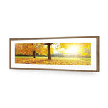 Autumn Sunshine
