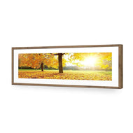 Autumn Sunshine
