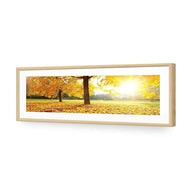 Autumn Sunshine