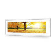 Autumn Sunshine
