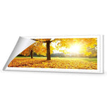 Autumn Sunshine