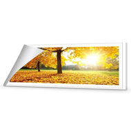 Autumn Sunshine